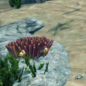 Virtual Aquarium-Interactive-clownfish